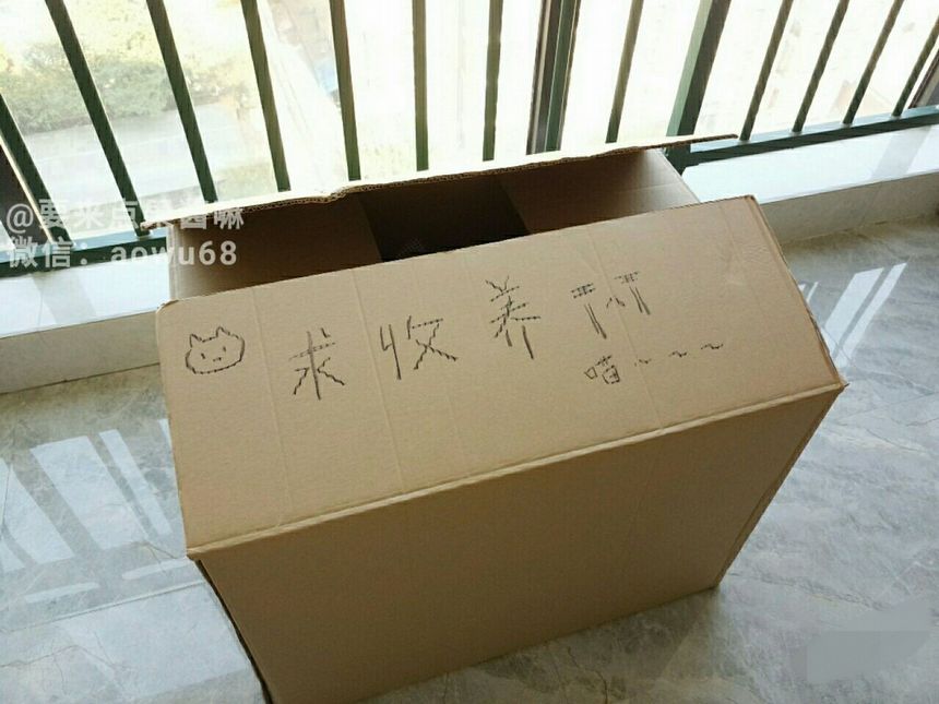无遮光 日奈森果无内围裙 美图[56P] 超凡菇凉网络名人 P.5