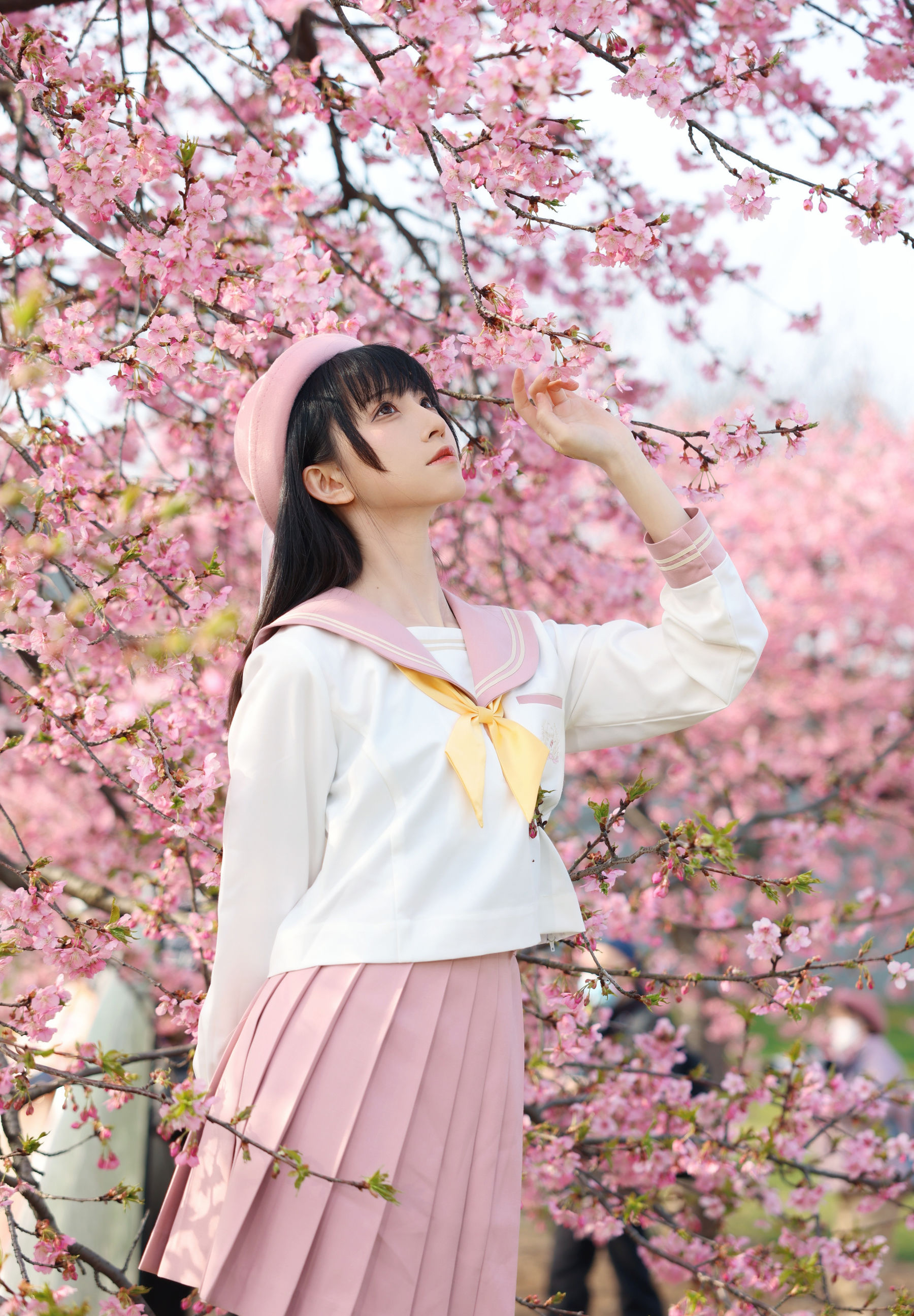 动漫博主Kitaro_绮太郎 – 樱花 Cosplay-第1张
